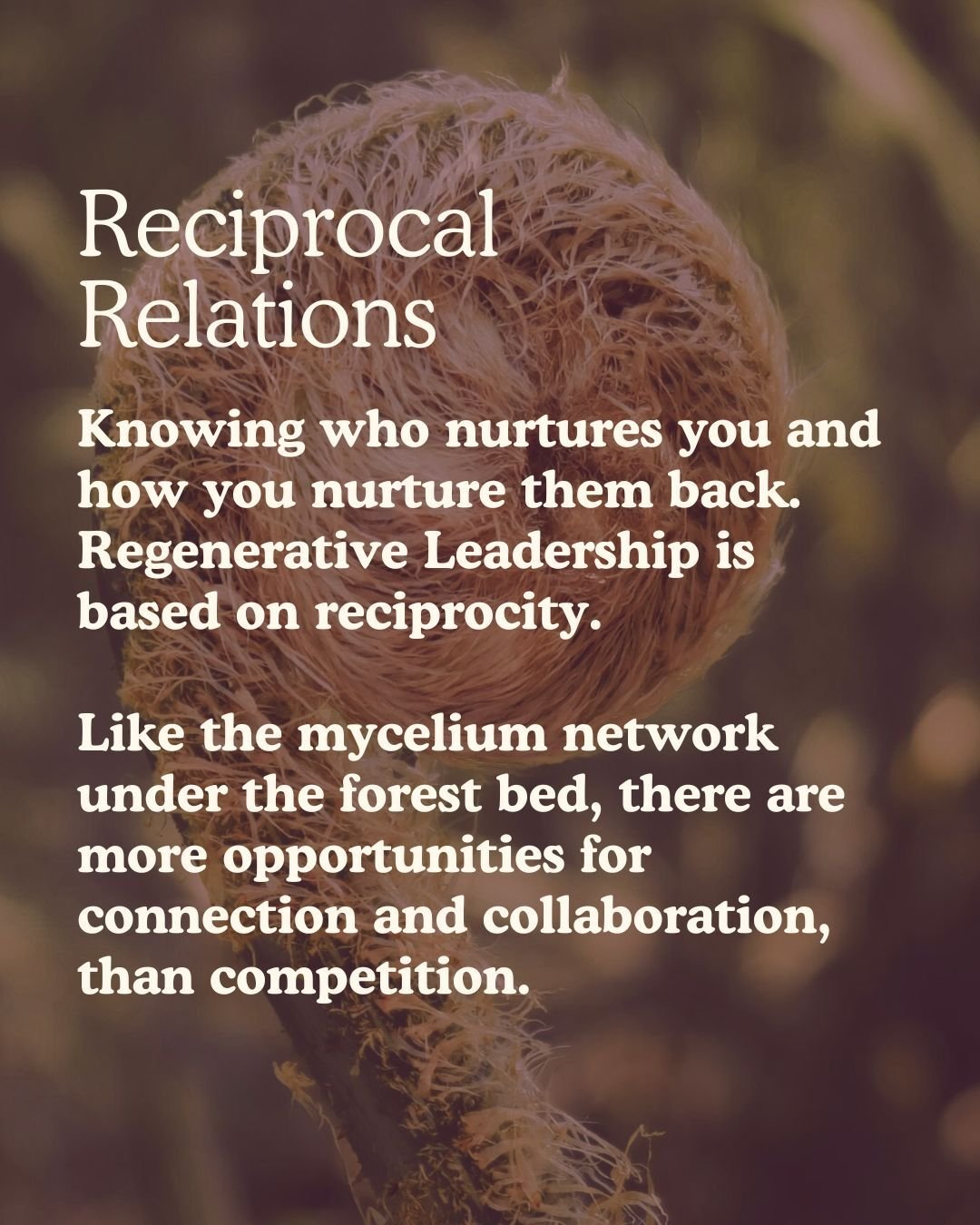 Website_RW_RTR_ReciprocalImpact Website_RW_RTR_ReciprocalImpact