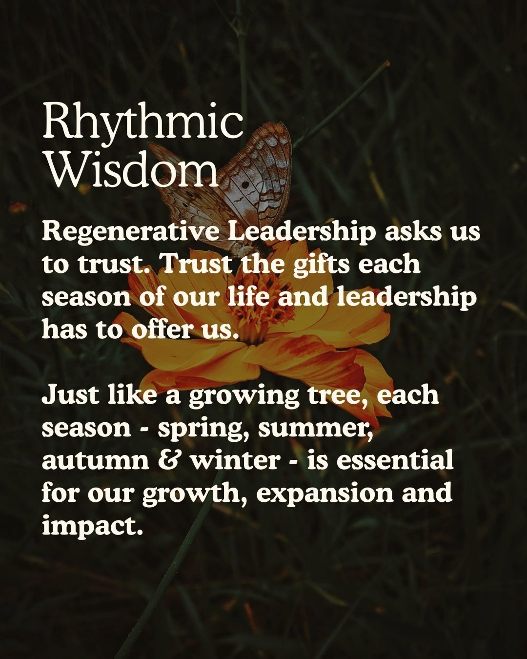 Website_RW_RTR_RhythmicWisdom Website_RW_RTR_RhythmicWisdom