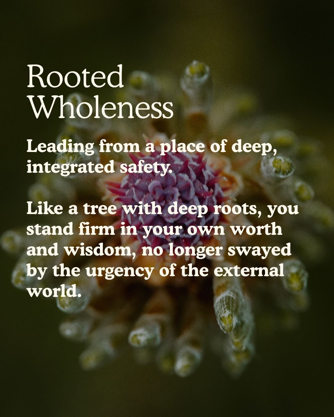 Website_RW_RTR_RootesWholeness Website_RW_RTR_RootesWholeness